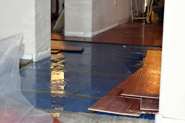 Professional Sewage Cleanup technician working in Somerville, TX