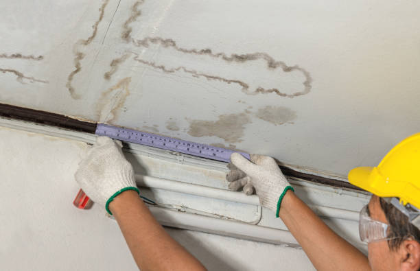 Reliable Sewage Cleanup contractor in Somerville, TX by Water Damage Irwin